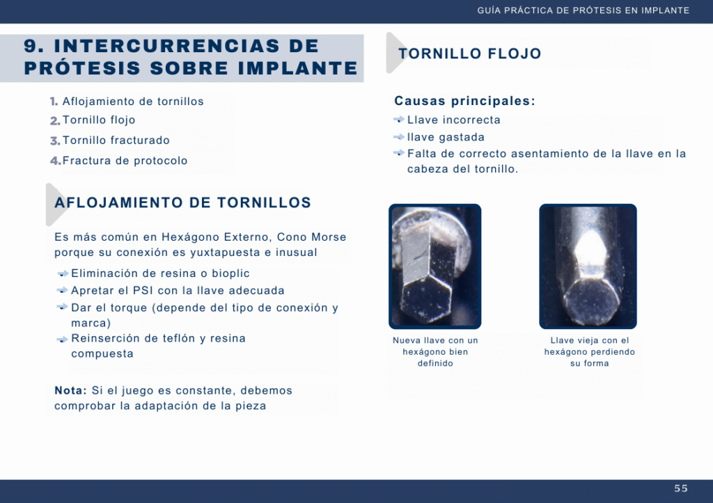 Captura de tela 2025-08-06 165529